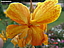 DSC00452.jpg