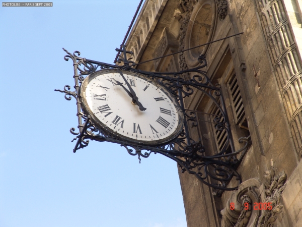 DSC00460.jpg