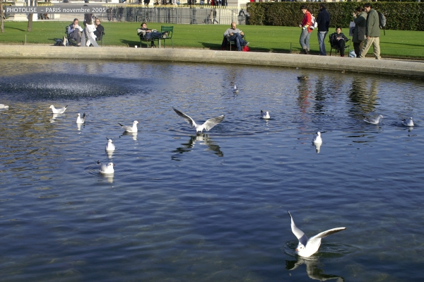 PICT0684.jpg