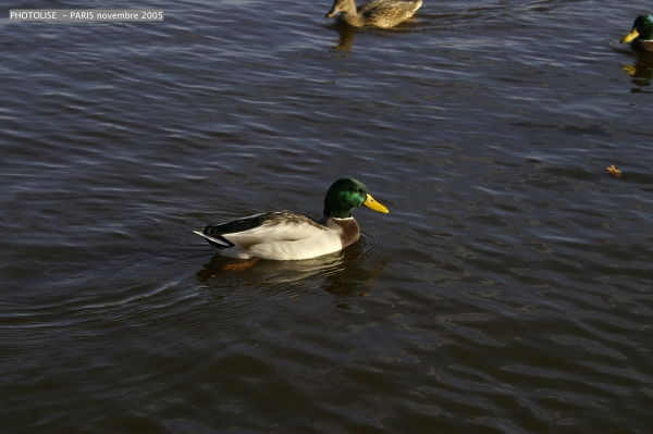 PICT0712.jpg