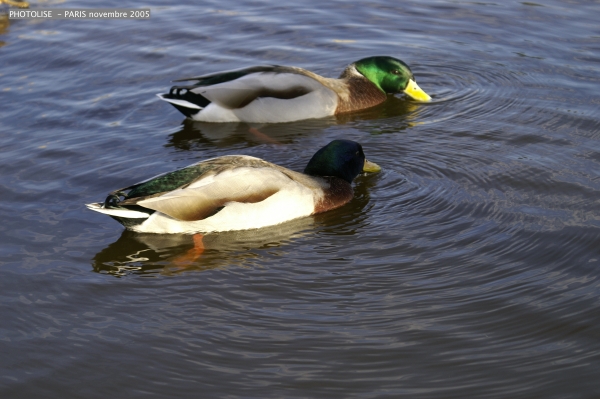 PICT0714.jpg