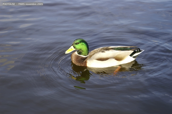 PICT0719.jpg