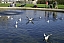 PICT0684.jpg