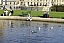 PICT0703.jpg