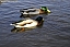 PICT0714.jpg