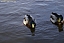 PICT0718.jpg