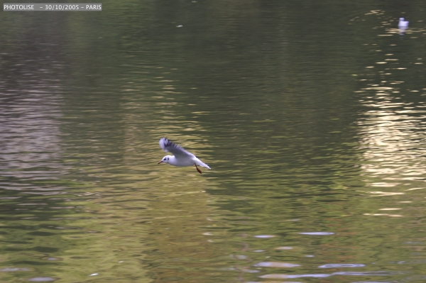 211.jpg