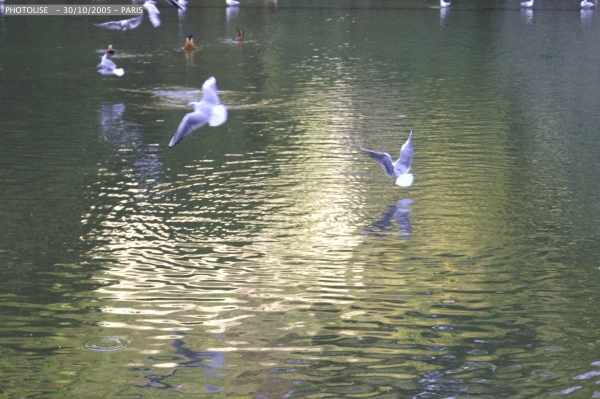 227.jpg