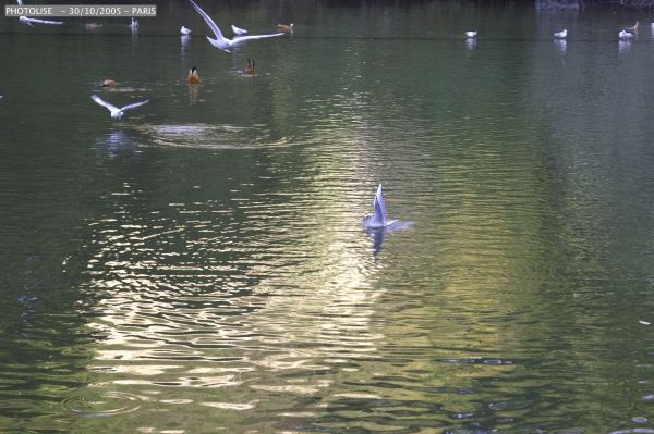 228.jpg