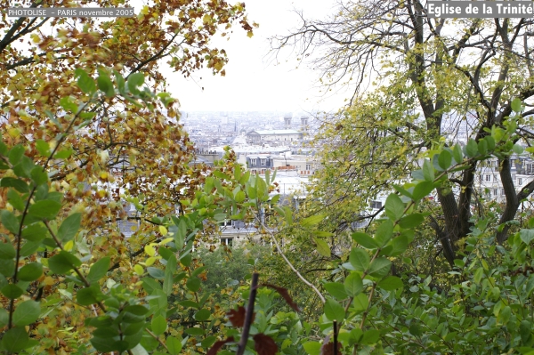 PICT0883.jpg