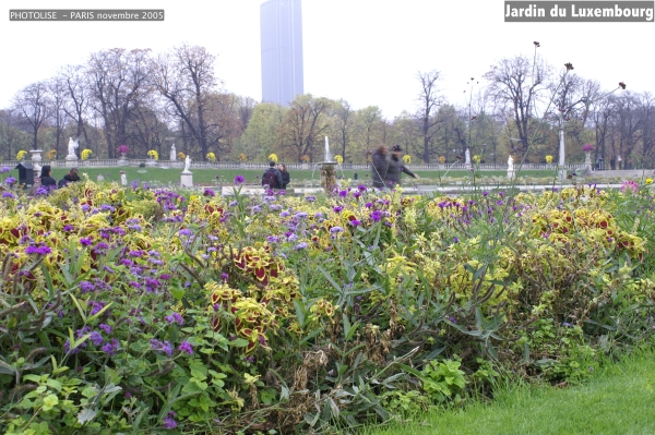PICT0941.jpg