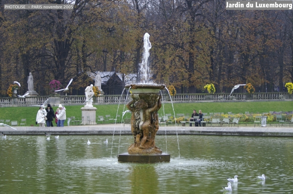 PICT0950.jpg
