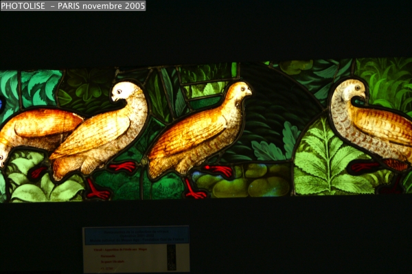 PICT1205a.jpg