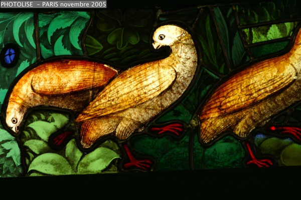PICT1205c.jpg