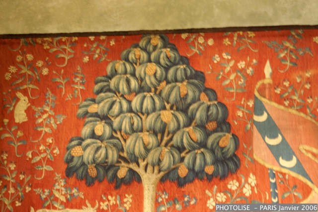 PICT2061.jpg