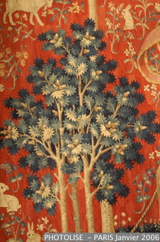 PICT2064.jpg