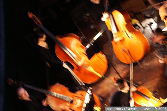 PICT2398.jpg