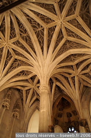 PICT2572.jpg