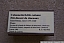 PICT2558.jpg