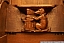 PICT2592.jpg