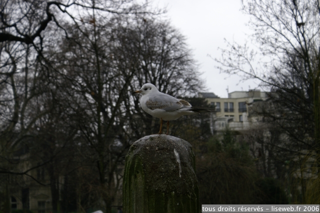PICT2803.jpg