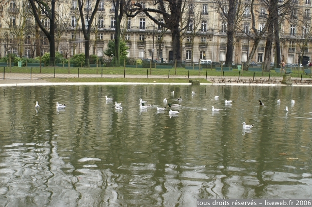 PICT2842.jpg