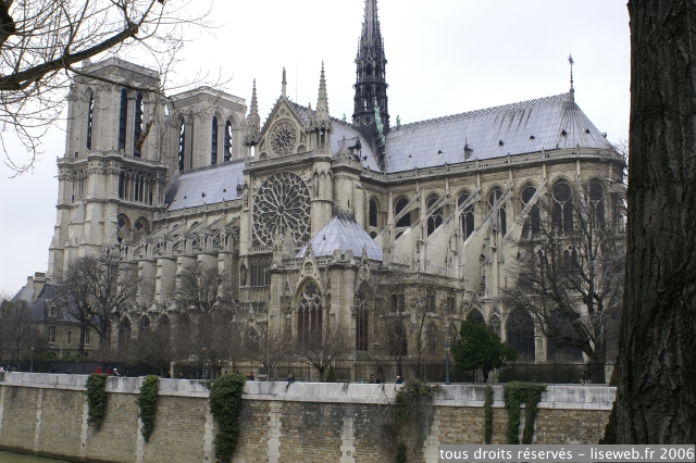 PICT2925.jpg