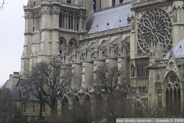 PICT2926.jpg