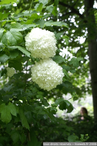 PICT3318.jpg
