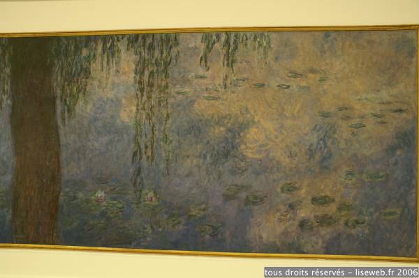 PICT5206.jpg