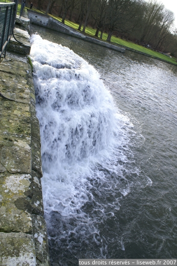 PICT0017.jpg