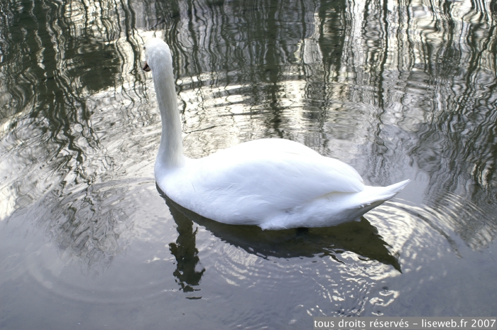PICT0022.jpg