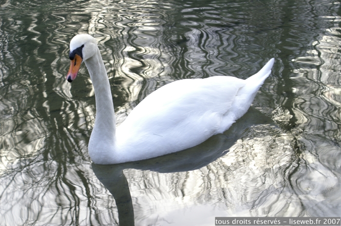 PICT0024.jpg