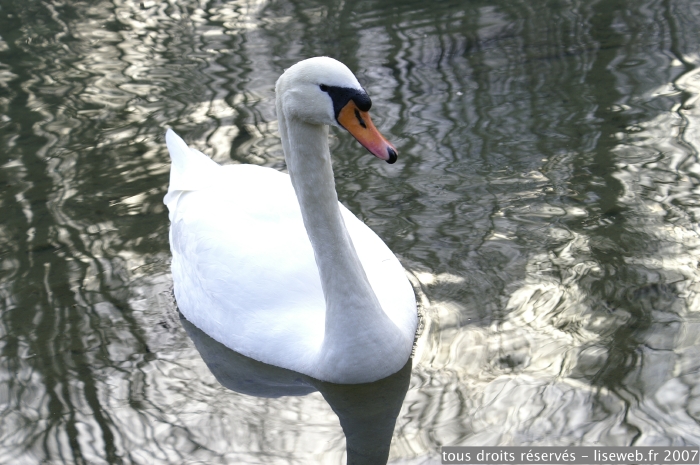 PICT0025.jpg