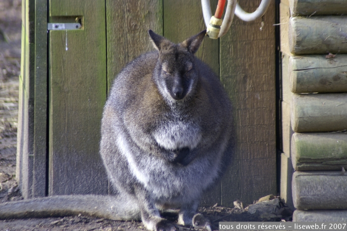 PICT0041.jpg