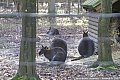 PICT0035