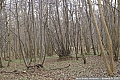 PICT0046