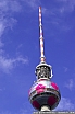 PICT4661.jpg