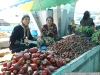 pict2459.jpg