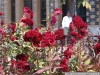 pict2489.jpg