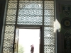 pict2550.jpg