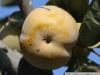 pict2575.jpg