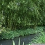pict1105.jpg