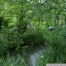 pict1106.jpg