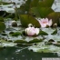 pict1108.jpg