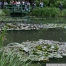 pict1117.jpg