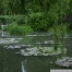 pict1128.jpg