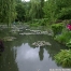 pict1131.jpg