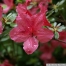 pict1135.jpg