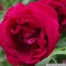 pict1162.jpg